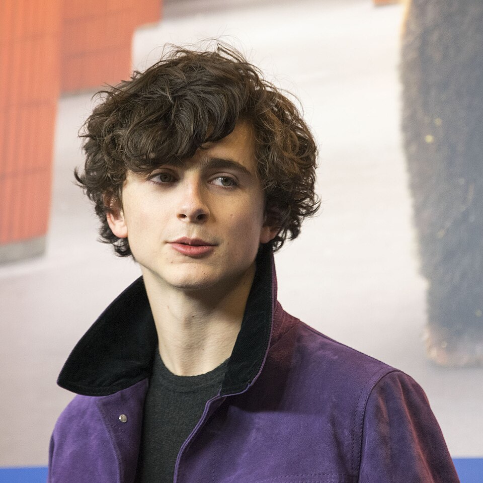 Timothée Chalamet — Elio puts him on the map