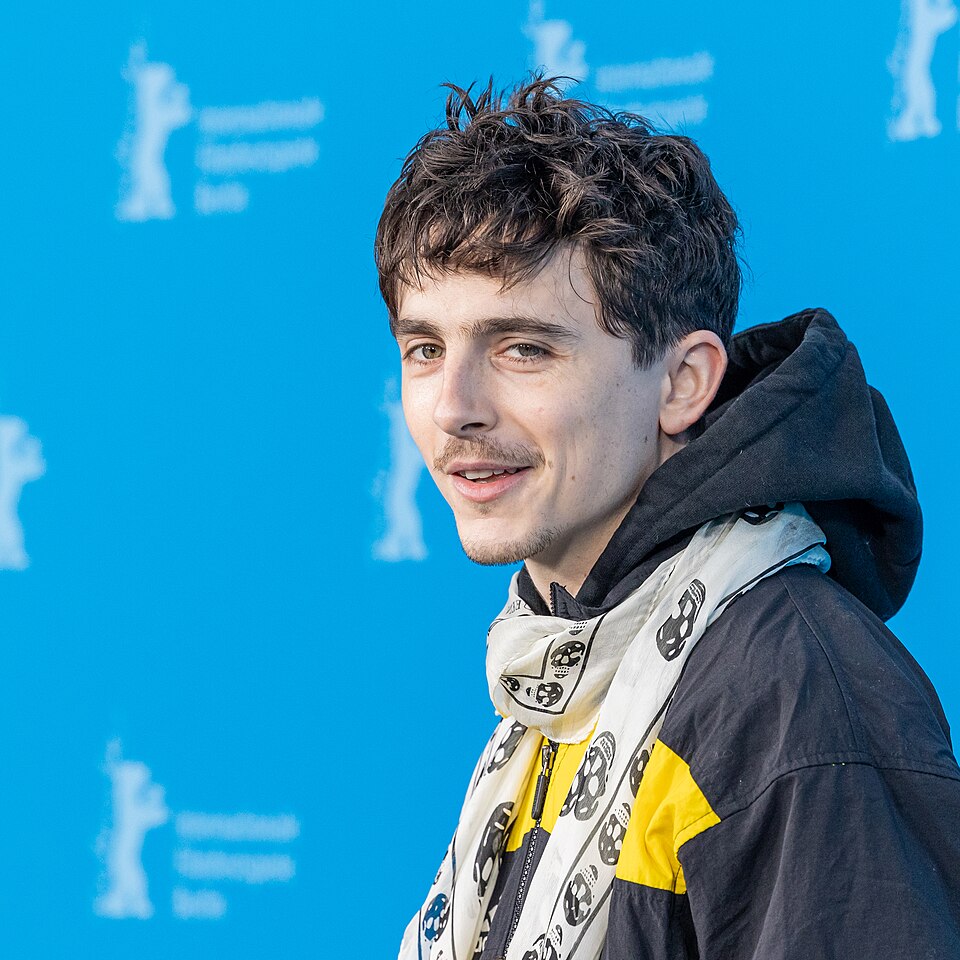 Timothée Chalamet — His Dylan performance wins with actors