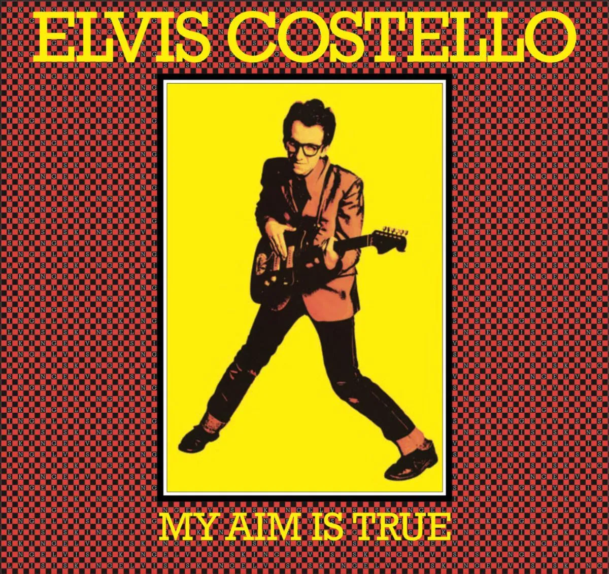 Elvis Costello performing live on stage with a guitar