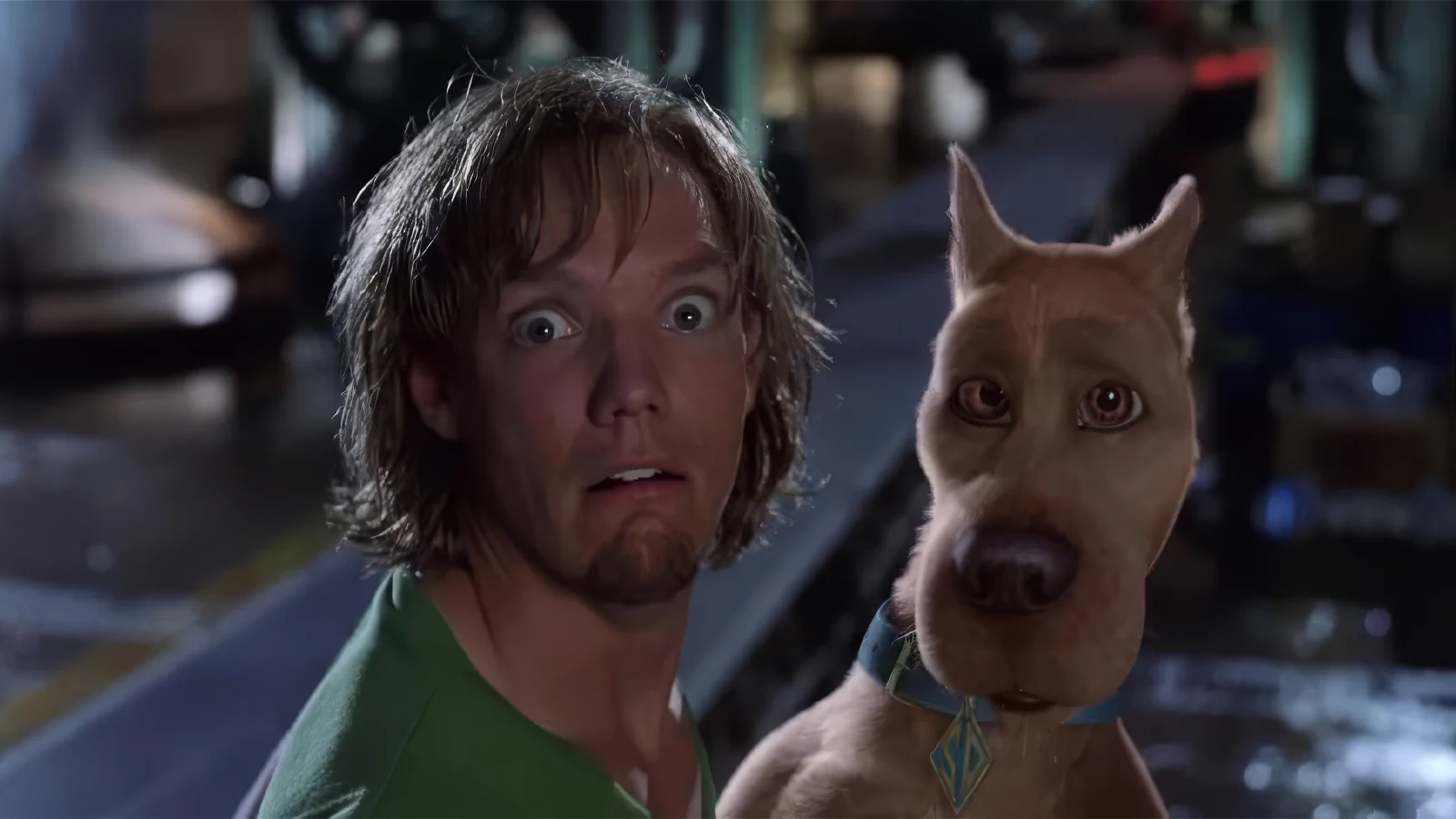 Shaggy Scooby Doo