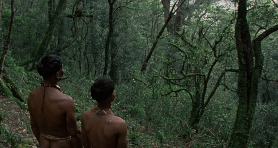 In this still, two men - father and son - are seen from behind look out over a dense, green forest.