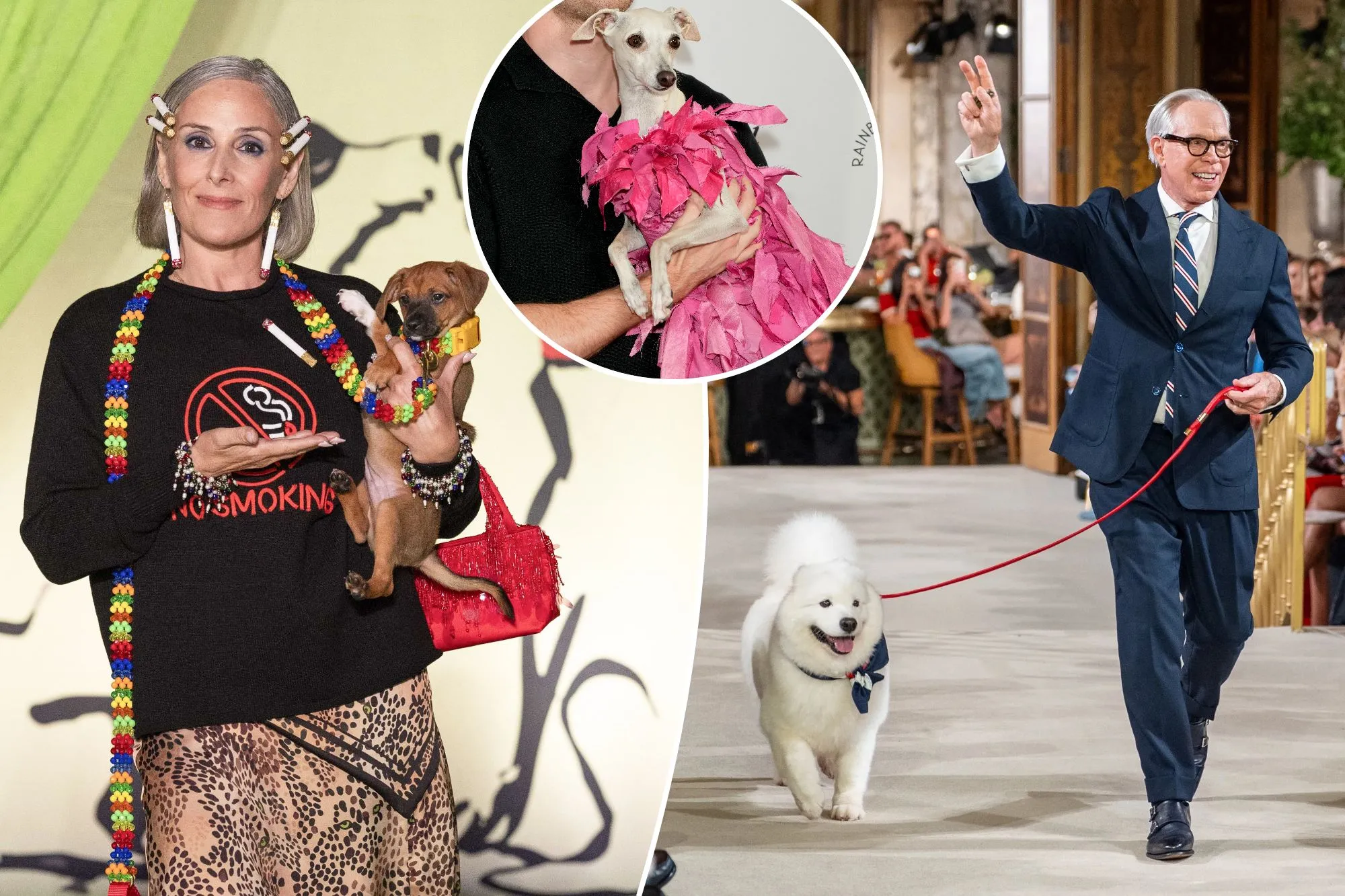 A stylish dog walking down the runway during a New York Fashion Week presentation.