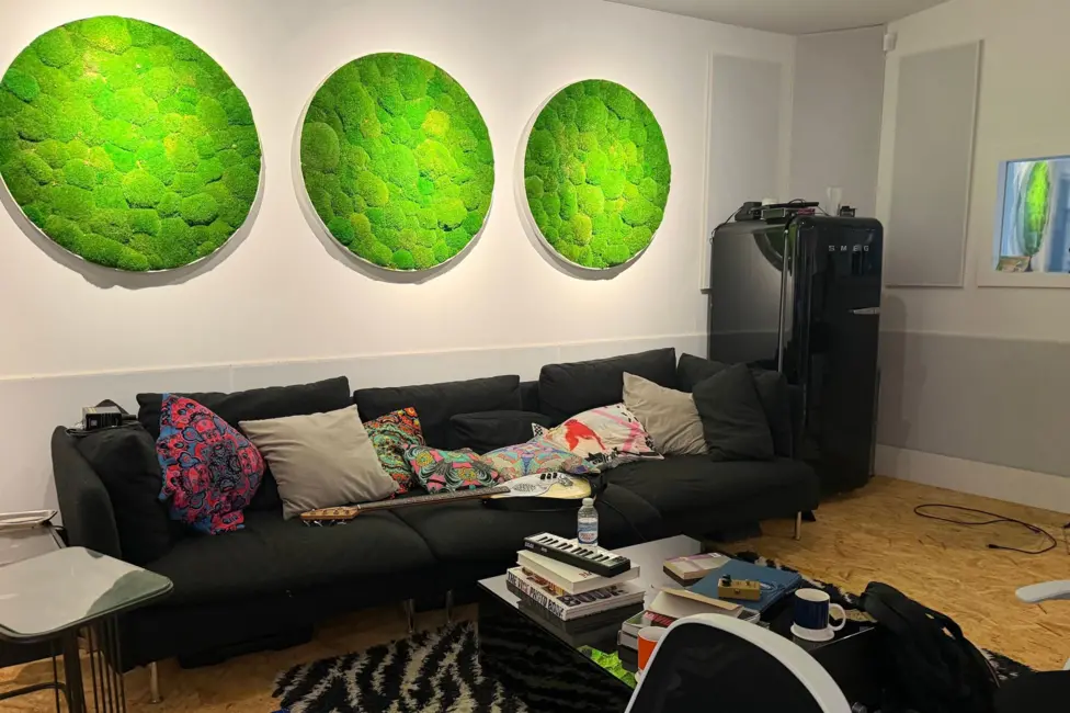 Serge Pizzorno's studio - a wall is covered in acoustic baffles, designed to look like greenery. A sofa is littered with cushions and a bass guitar is laid flat on its back. In the corner, you can see a black refrig