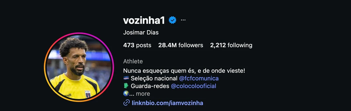 Screenshot of Vozinha instagram following numbers and account