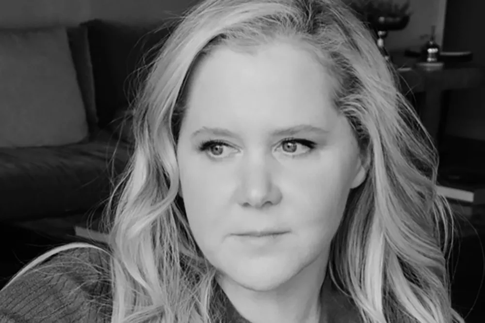Amy Schumer posing on the red carpet at a movie premiere