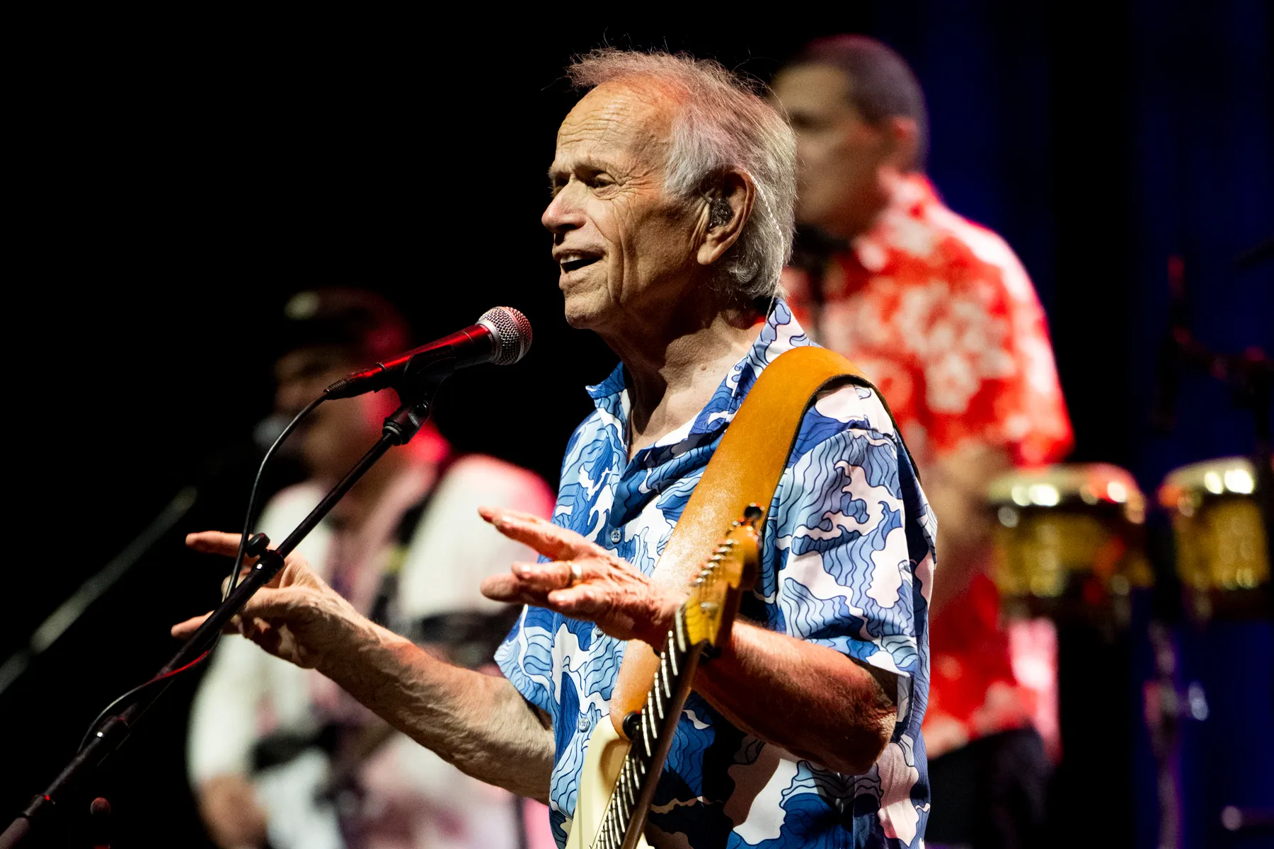 Al Jardine performing live on stage