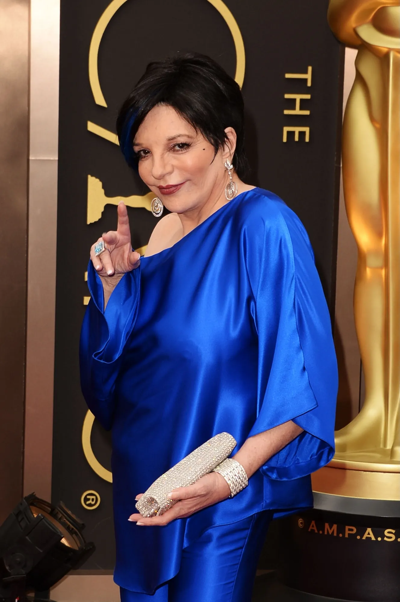 Liza Minnelli posing at an event