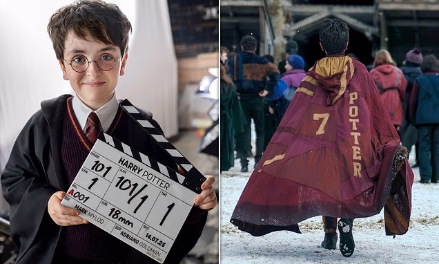 HBO Harry Potter TV series logo concept