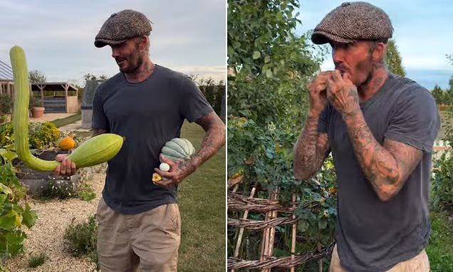 David Beckham standing in his garden holding a large homegrown vegetable