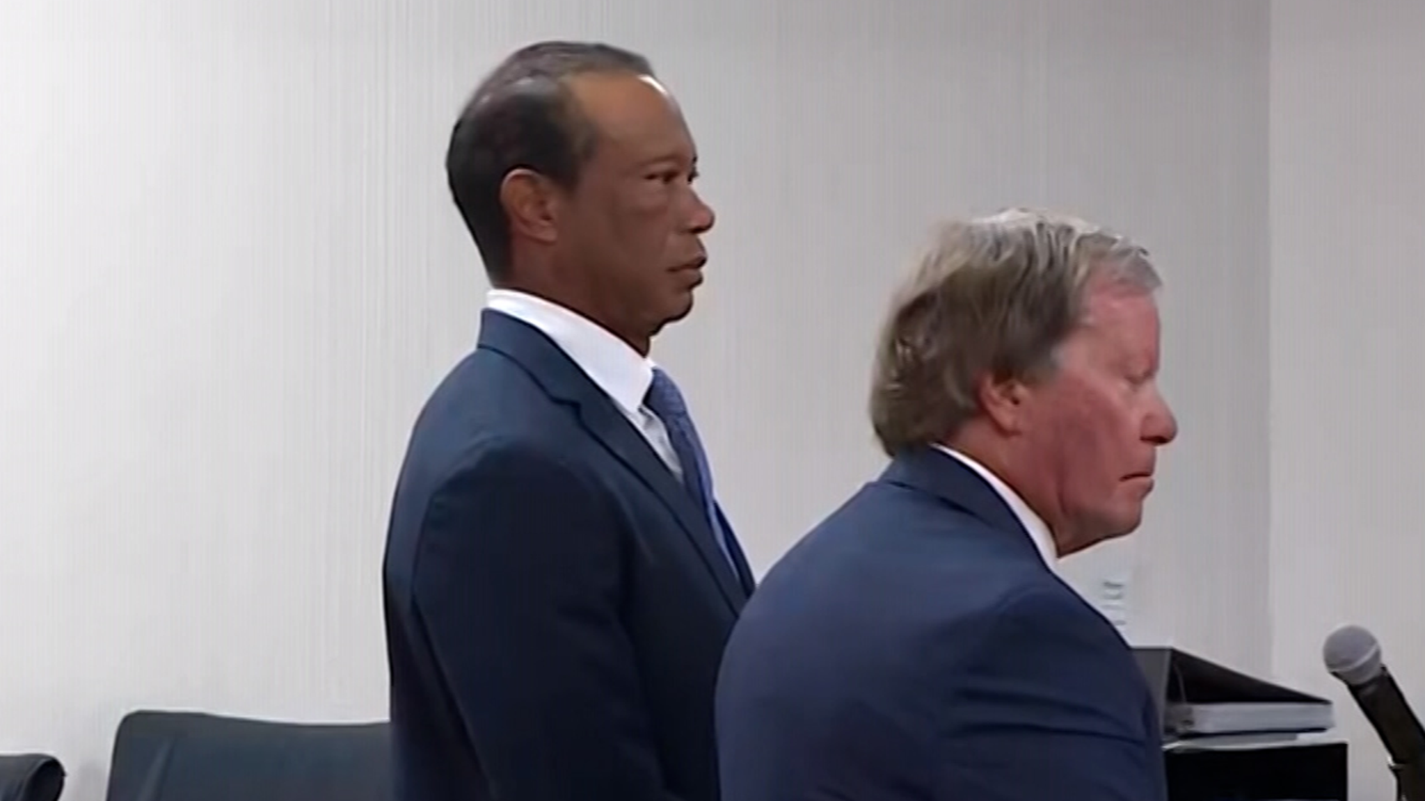 Tiger Woods entering a guilty plea in court following his arrest.