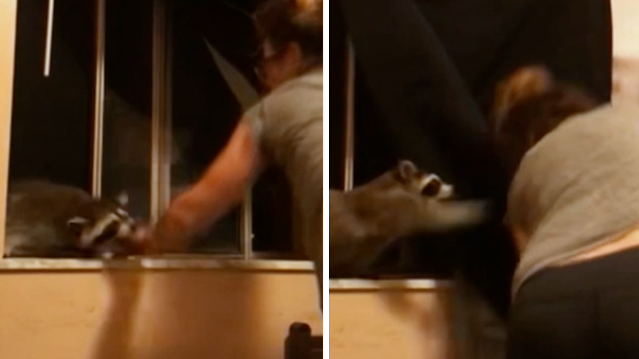 Still image representing a dramatic animal encounter on TLC reality television