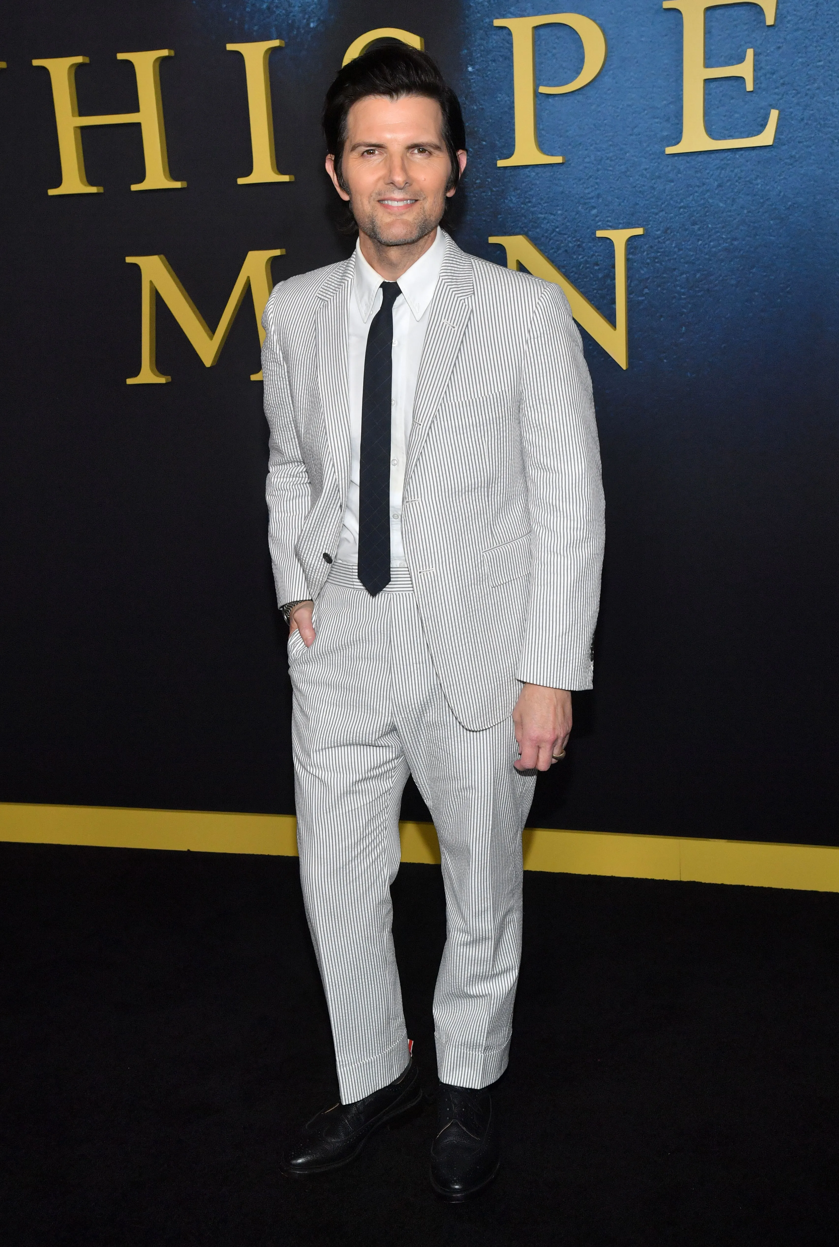 Adam Scott, Netflix