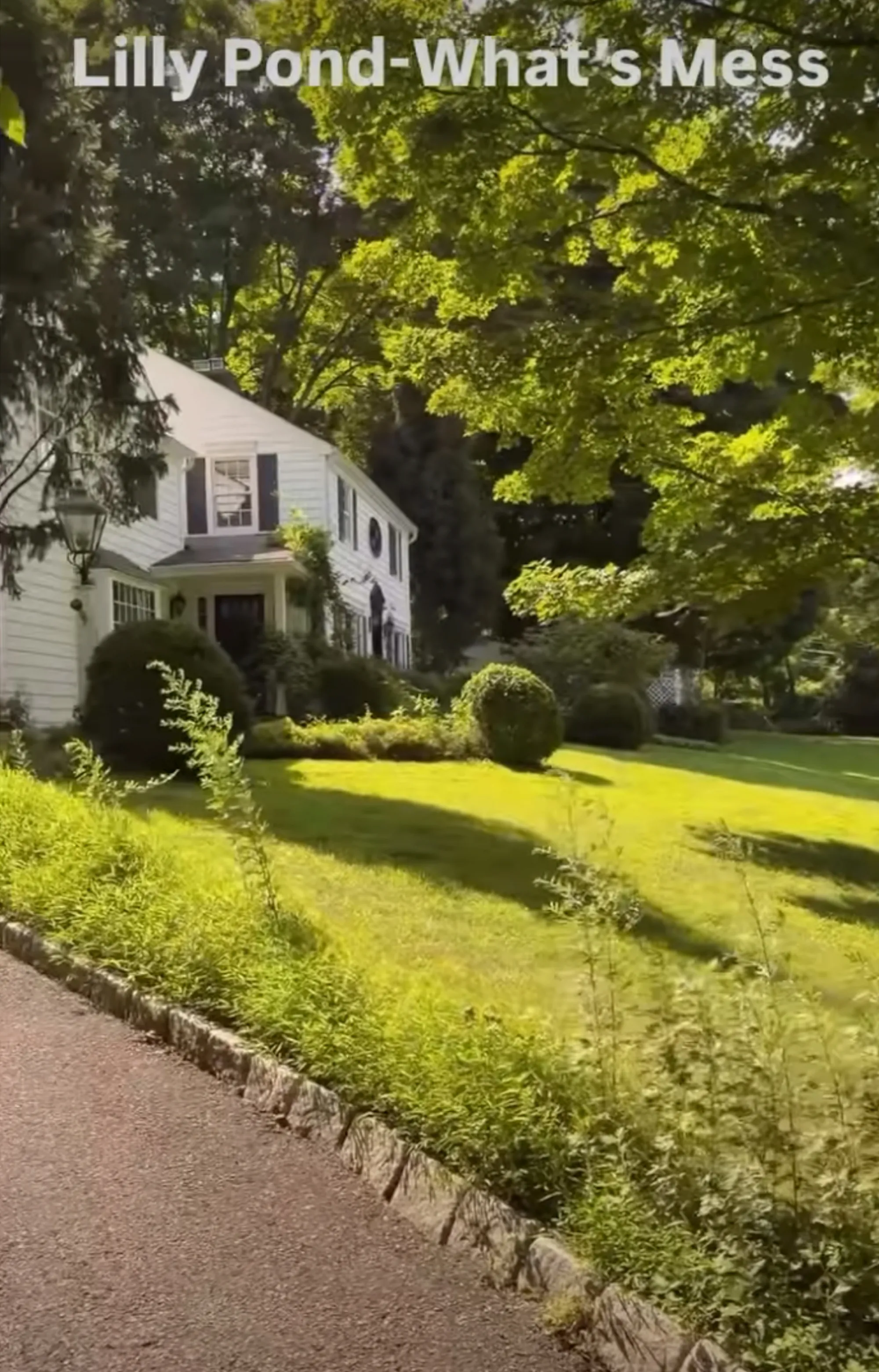 Lee recently filmed the lawn saying, “Look at this, its all overgrown. It used to be perfect. You can’t even see the boxwood. It’s all weeds.”
