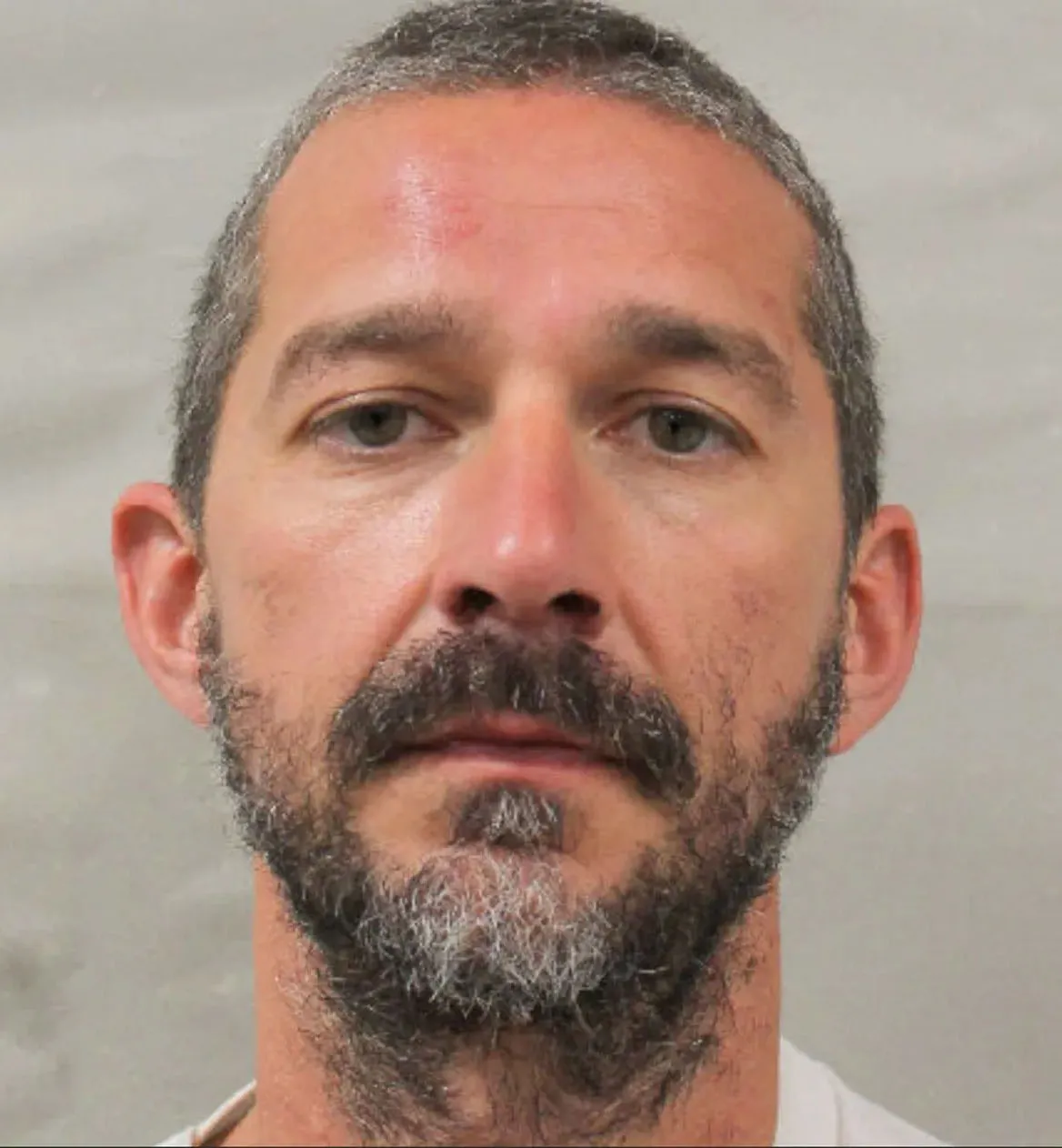 After pleading guilty to multiple counts of battery, LaBeouf (seen above in his mugshot) was ordered to attend an alcohol treatment class.