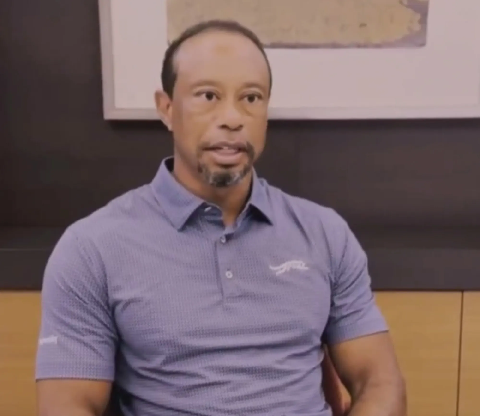 Tiger Woods in a blue polo shirt.