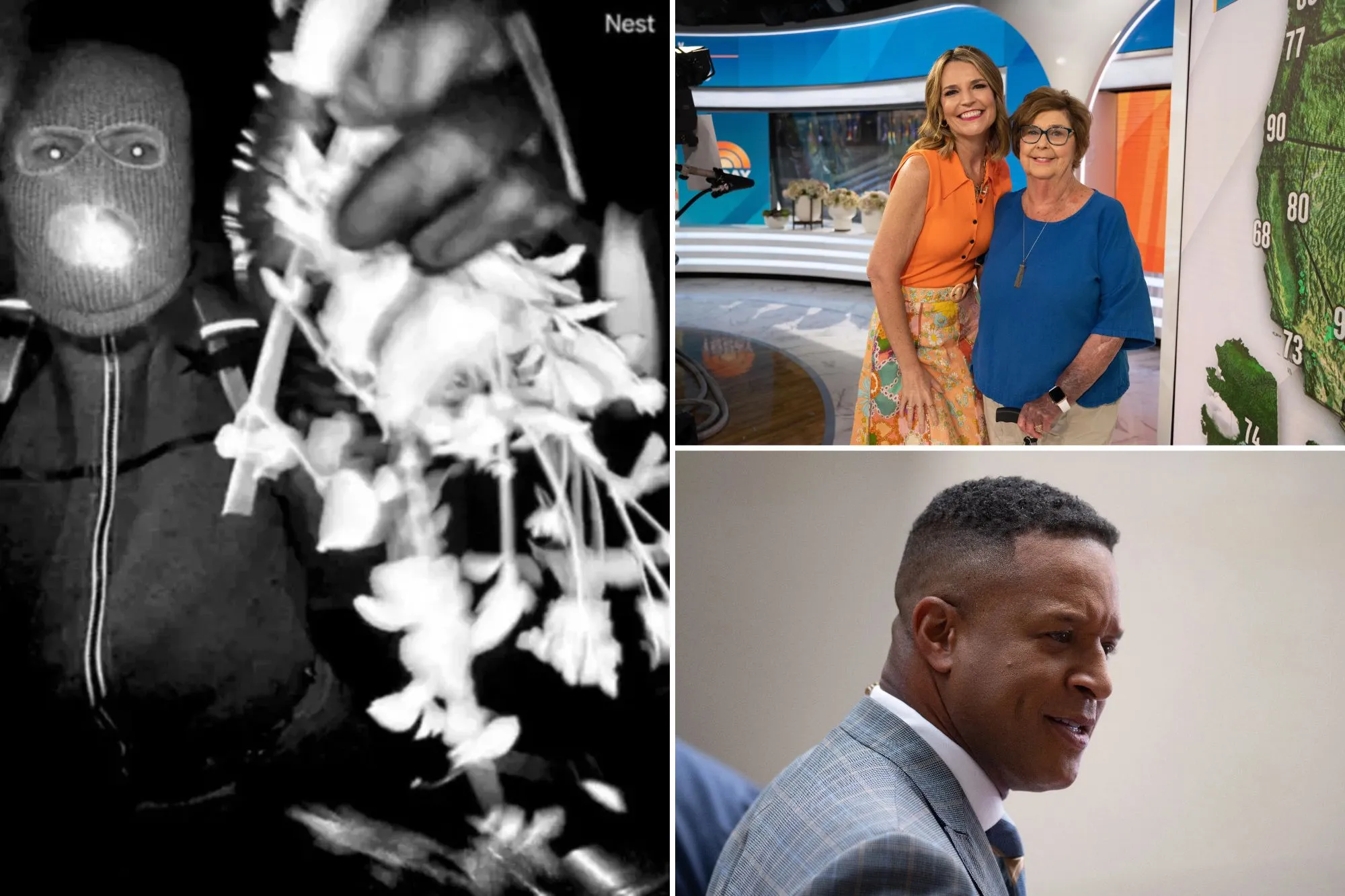 An image collage containing 3 images, Image 1 shows Nancy Guthrie kidnapping, Image 2 shows Nancy Guthrie, Image 3 shows Craig Melvin