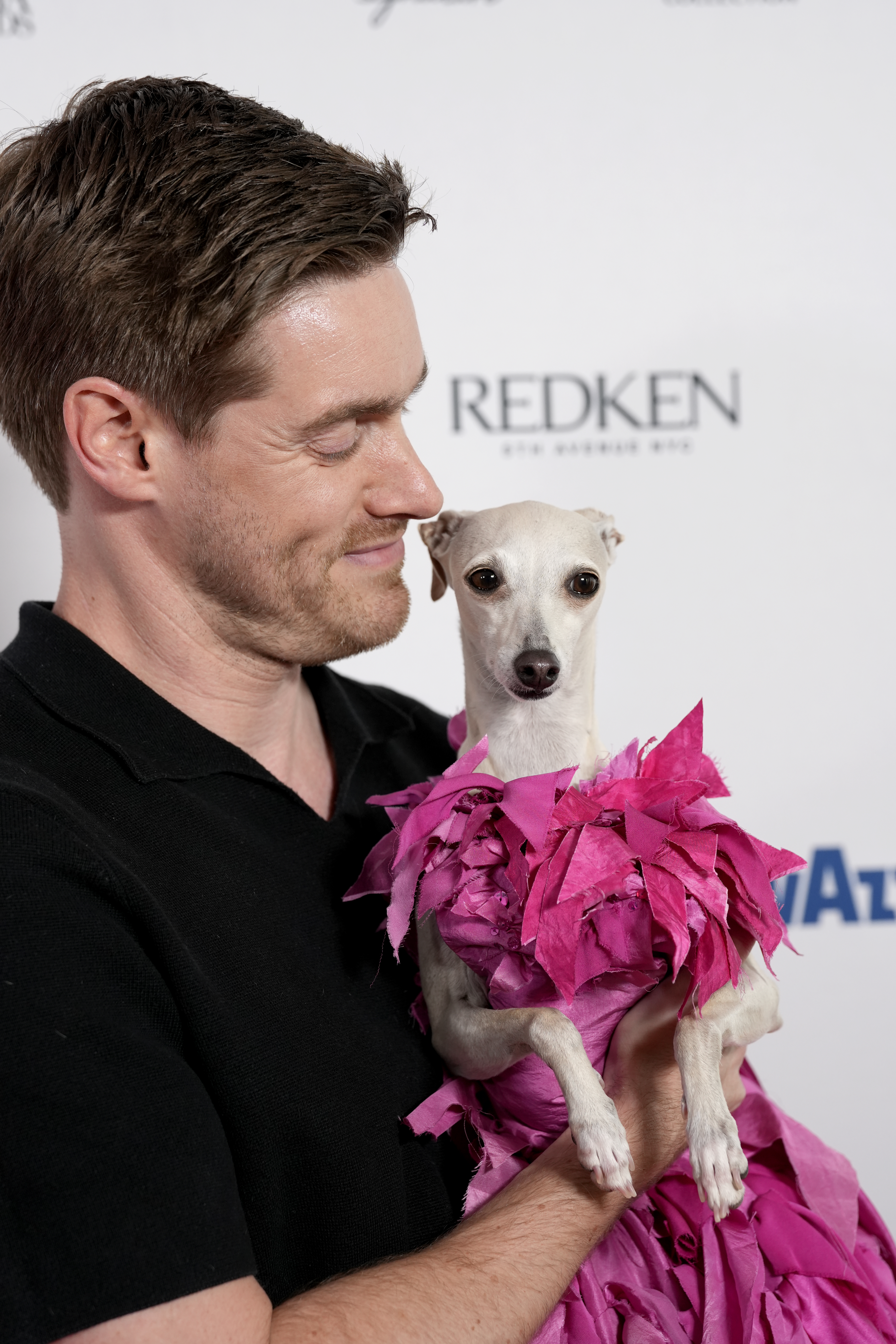 Kala the Italian greyhound wearing a custom pink couture outfit, held by a man.