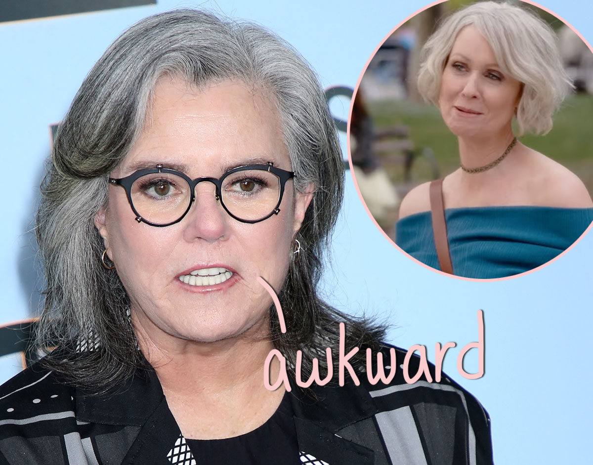 Rosie O'Donnell posing on the red carpet at a television event
