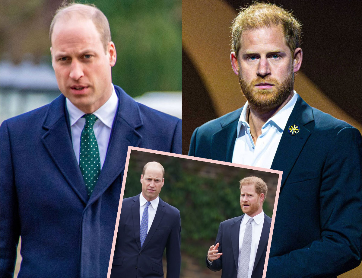 Prince Harry and Prince William standing side by side at a royal event looking serious